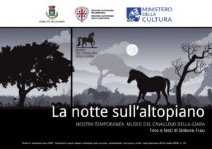 banner-mostra-la-notte-altopiano-museo-cavallino--2025