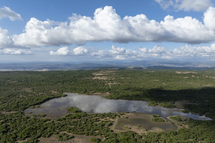 Altopiano della Giara di Genoni vista dal drone